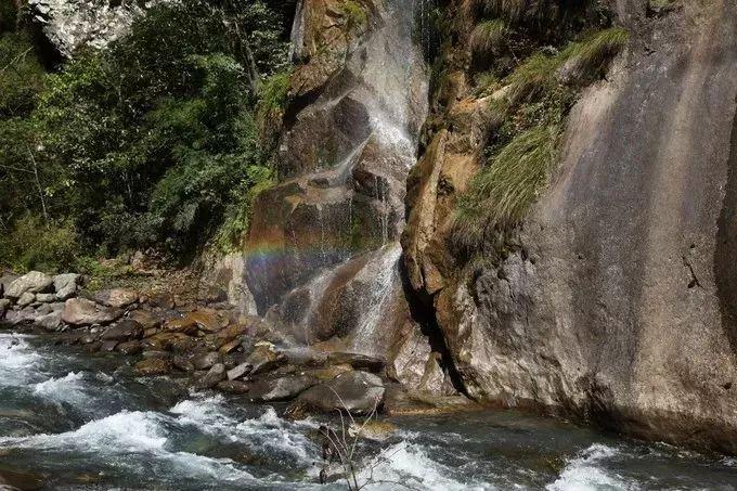 虫虫助手下载